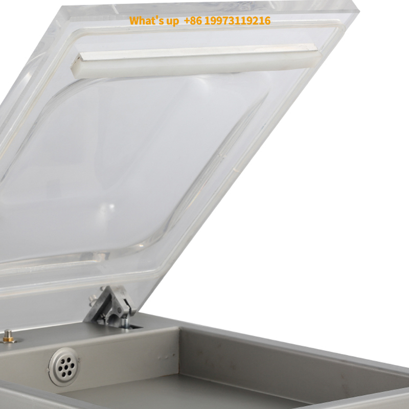 Food Storage Brands - 2026 DZ260 prix usine toute nouvelle