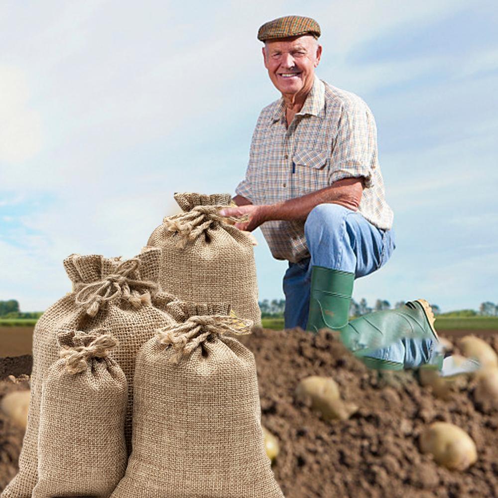 Sacs de stockage de pommes de  - Food Storage In Roots avis et prix
